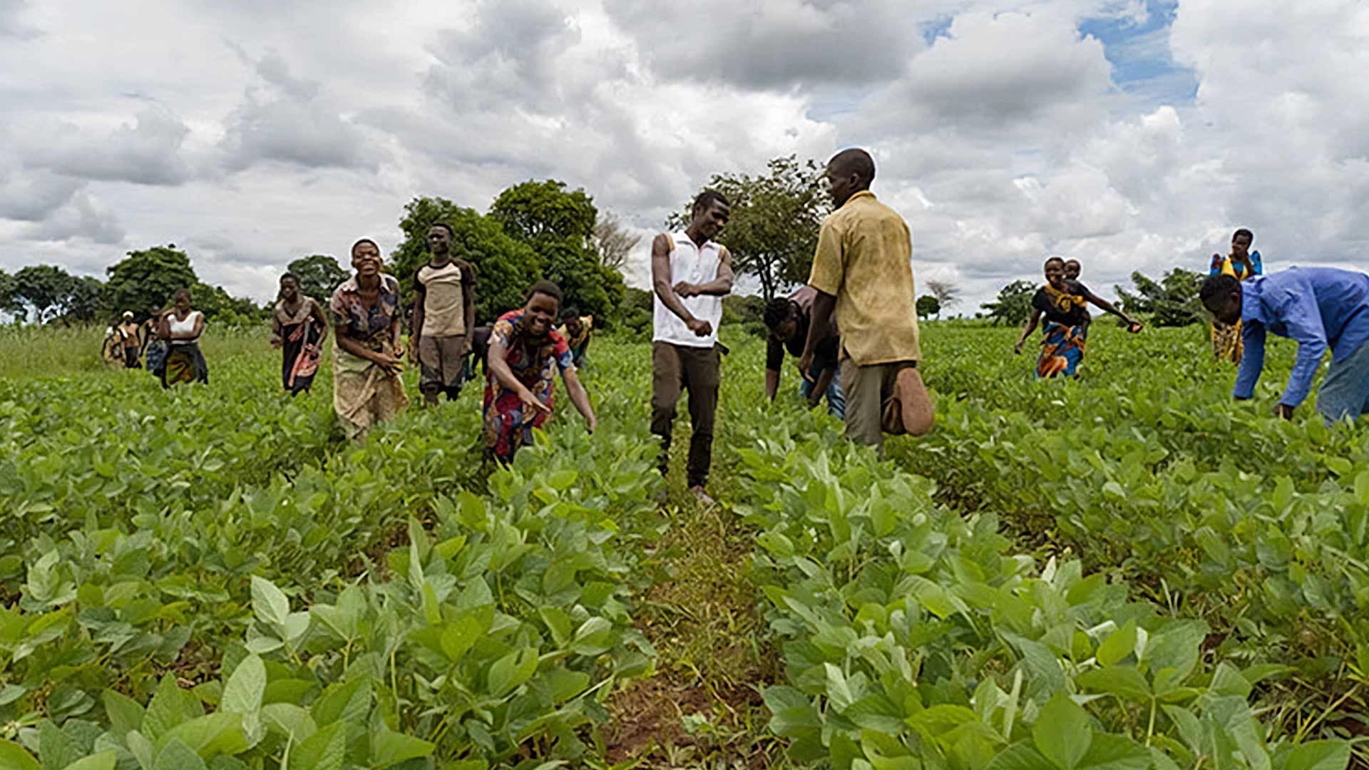 Farming